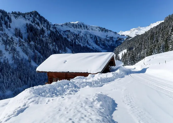 Alpstuga Naulaz By Interhome Val dʼIlliez